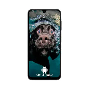 CELULAR SAMSUNG GALAXY SM-A266MZK OC 8GB 256GB 5G 6.7INCH 4CAM. USD USB-C AN-15 BLACK