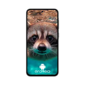 CELULAR SAMSUNG GALAXY SM-A36 OC 8GB 256GB 5G 6.7INCH 4CAM. USB ANDROID 14 Black