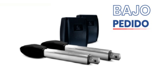 Motor de garaje PIVO SLIM BLCD